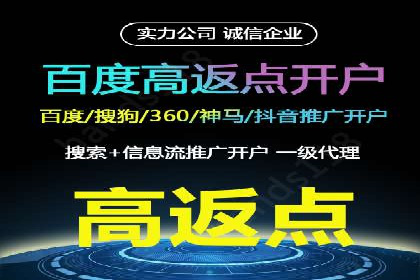 金融行业SEM服务的创新应用与效果